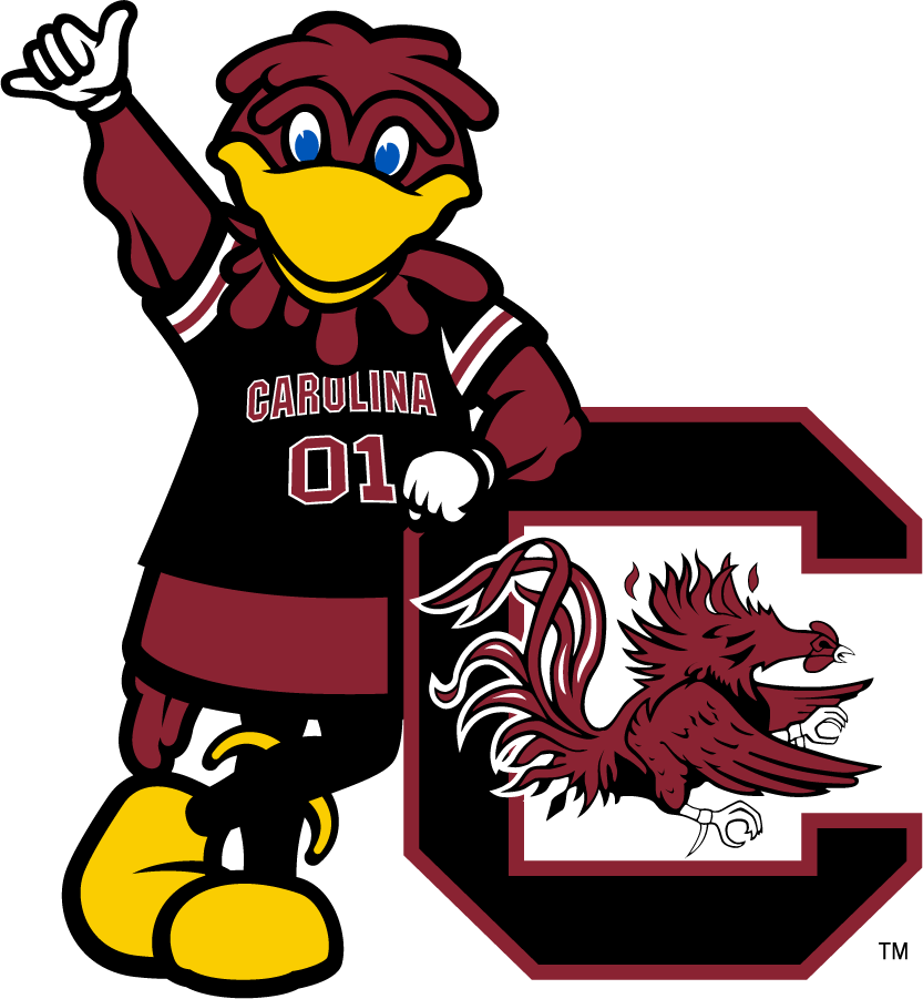 South Carolina Gamecocks 2014-2018 Mascot Logo v2 iron on transfers for clothing